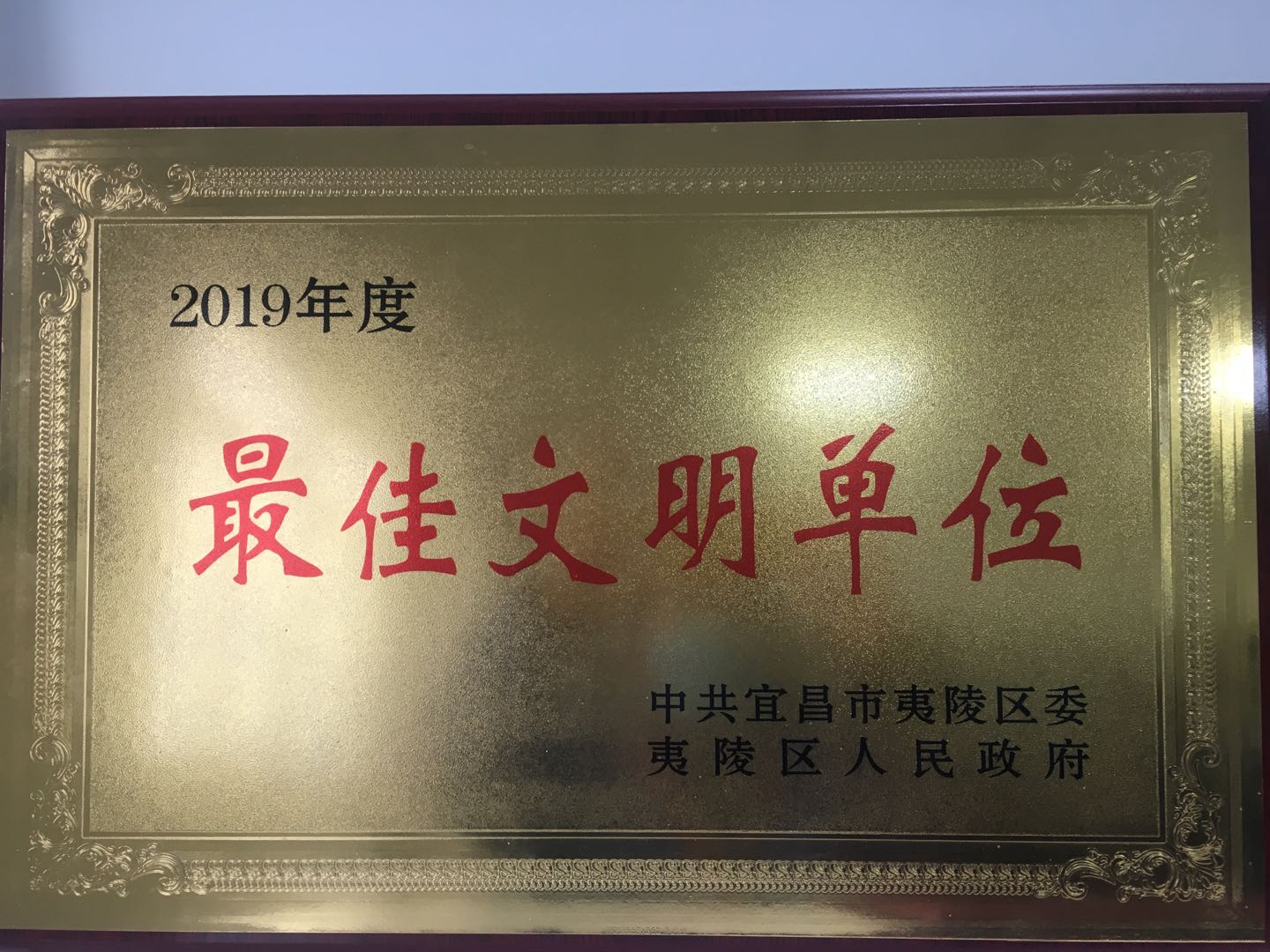 2019年度usdt游戏官网最佳文化单元